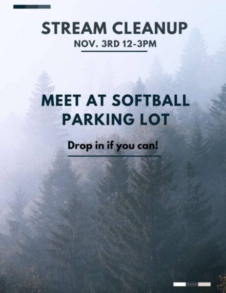 poster reading Stream Cleanup, Nov. 3rd, 12-3pm, meet at softball parking lot. Drop in if you can.
